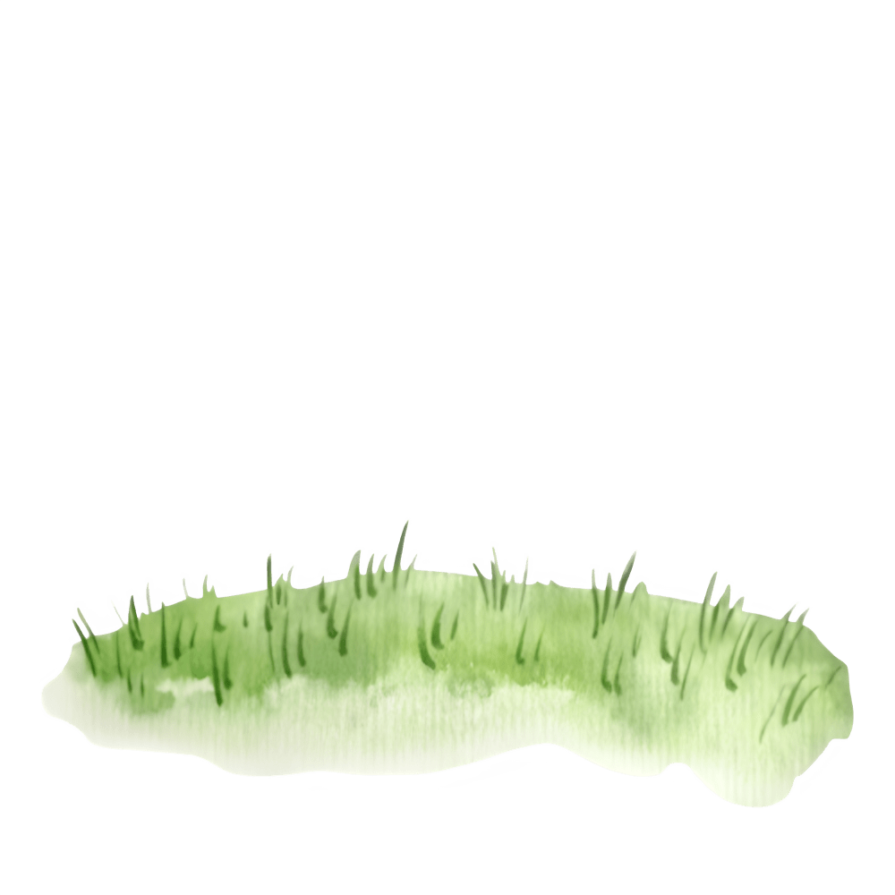 Grass Decor